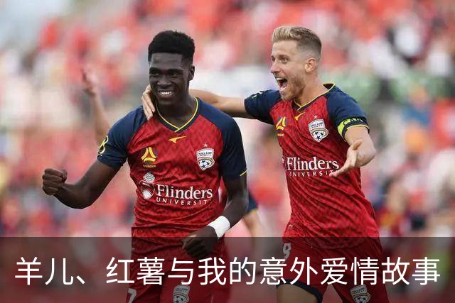 羊儿、红薯与我的意外爱情故事